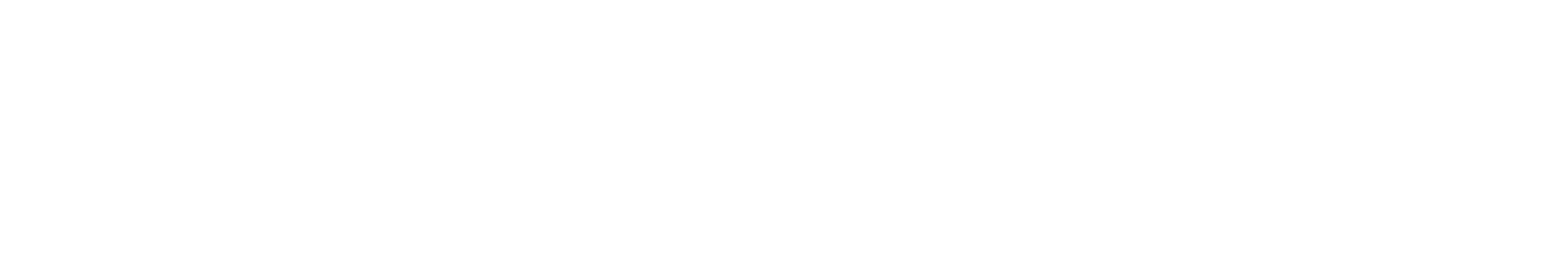 VALERIA BLESS TRADING L.L.C