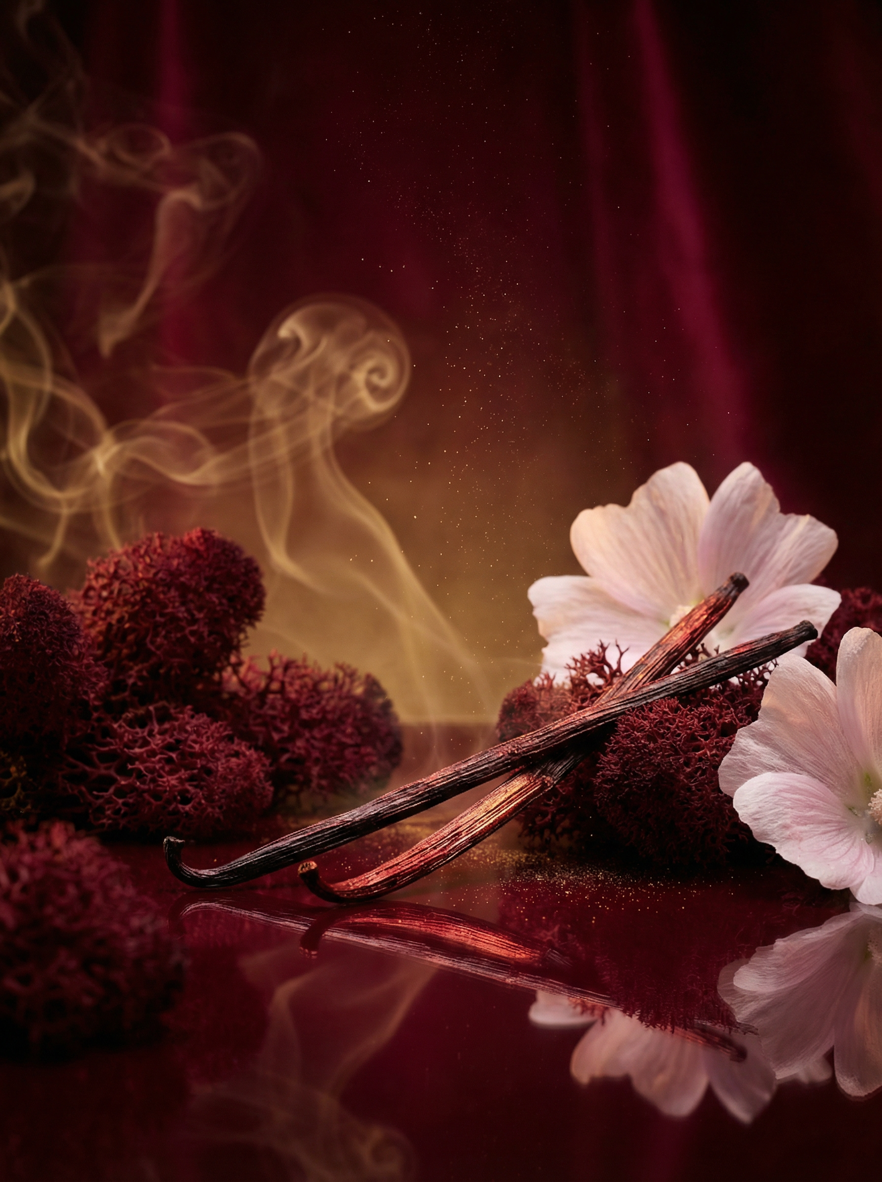 Base note ingredients of Valeria Bless Code of the Heart Femme Aphrodisiac perfume — vanilla sticks, oak moss and musk mallow flower with golden smoke on dark burgundy background